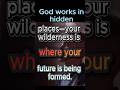 The Wilderness Is Not the End—It’s Your Transformation #faith #christiansermon #godsays #bible
