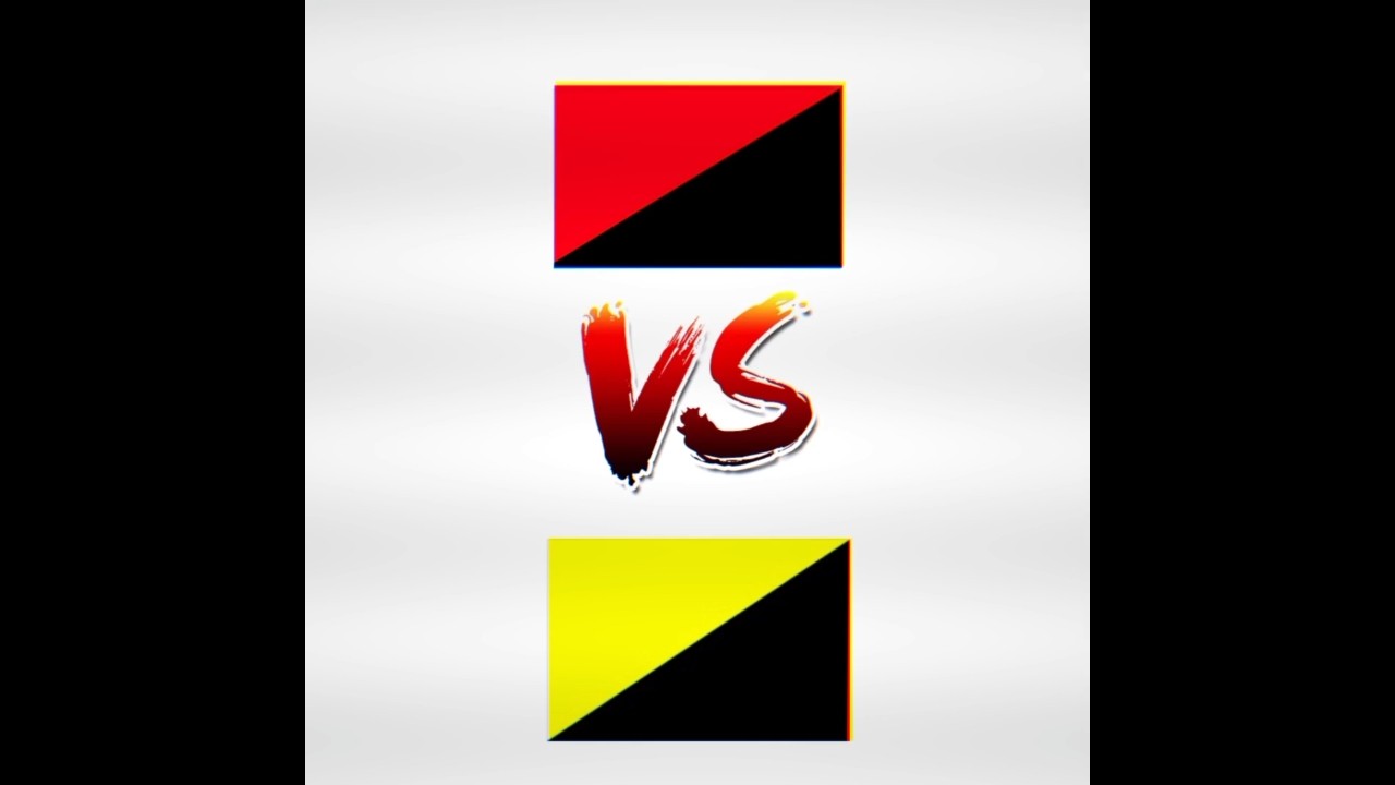 anarco comunismo VS ancap 