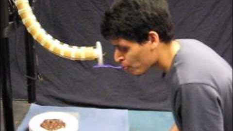 Continuum Arm Feeding