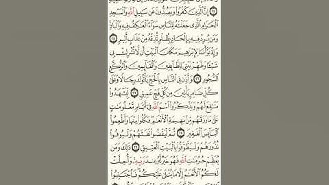 سورة الحج بصوت الشيخ محمد ايوب الركباوي