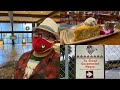 Disney’s Polynesian Village Resort Check IN • OHANA Bread Pudding • Christmas Tree & Construction