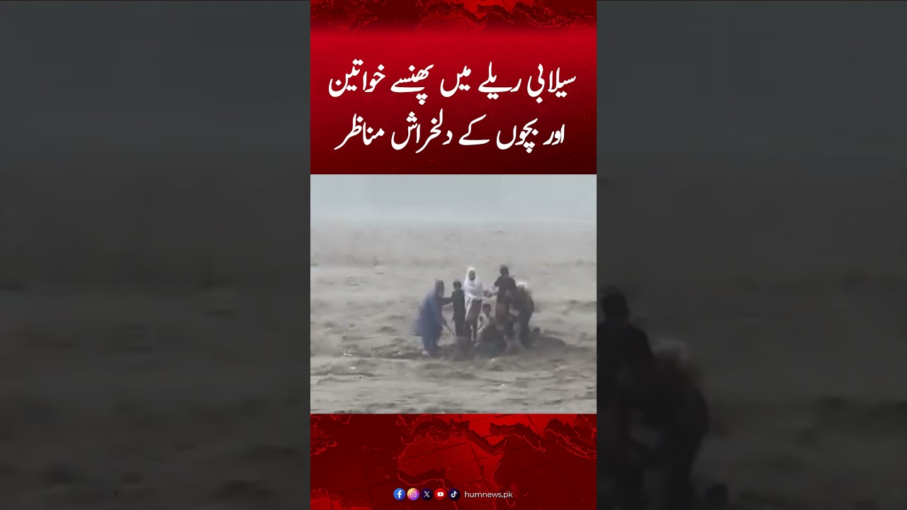 People stuck in the Floodwaters of the Swat River | Hum News #sawatriver #humnews #breakingnews