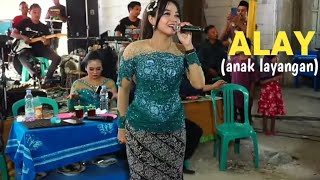 ALAY - AREVA MUSIK - VIRAL TIKTOK!!