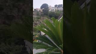 Positano Royal Prisco