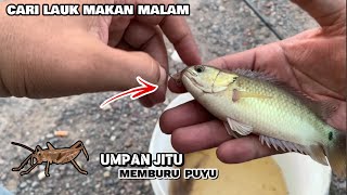 Mancing Ikan Puyu | Jumpa Sarang ikan | Tapi Apa Dah Jadi !!