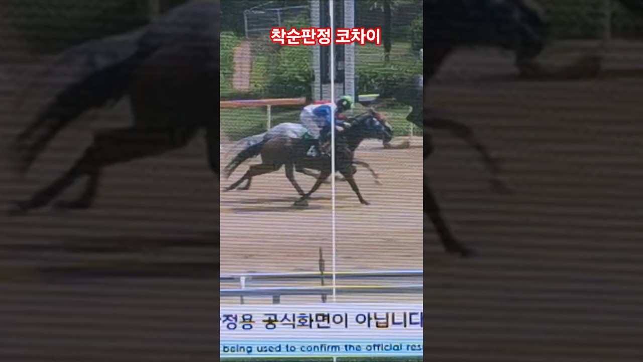 동착같은 코차이 #경마 #말 #달려라말 #shorts