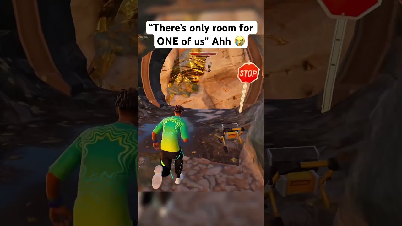 Bro Had To Be Sacrificed Fortnite Fortniteclips