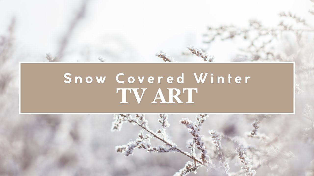 TV Art 📺 | Snow Covered Winter Scene Background 4k
