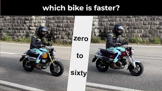 Minimoto speed test: '23 Honda Dax vs '22 Honda Monkey