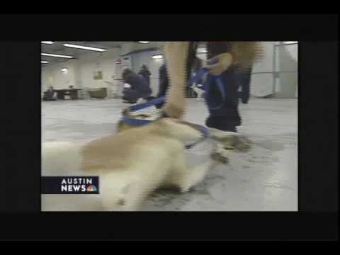 Austin Dog Rescue on KXAN, Paws in Prison Program