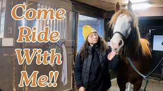 COME WITH ME TO MY HORSE RIDING LESSON! | Groom, Tack up and Ride
