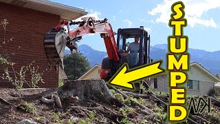 HUGE Tree Stump Removal & Other Yard Clean Up