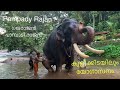 #Pampady Rajan#രാജന്റെ രാജകീയ നീരാട്ട് യോഗാസനം.....#Elephant Kerala#Asian Elephant#