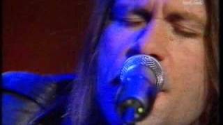 Video thumbnail of "bruce dickinson - tears of the dragon(unplugged).flv"