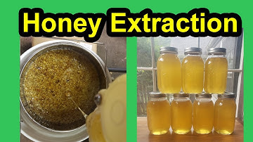 Honey Extraction & Filtering Honey - 3 Gallons of Raw Honey