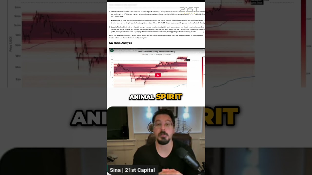 Bitcoin The Best Liquidity Sponge in a Debt Based System - YouTube