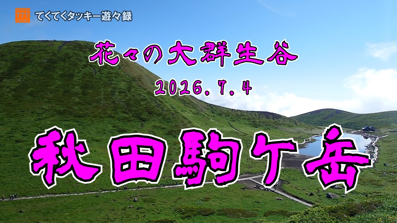 花の大群生谷 “秋田駒ケ岳” - YouTube