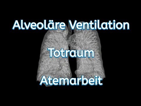 Was ist die Alveoläre Ventilation, der Totraum und die Atemarbeit?