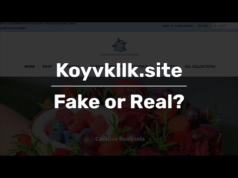 Koyvkllk.site | Fake or Real? » Fake Website Buster