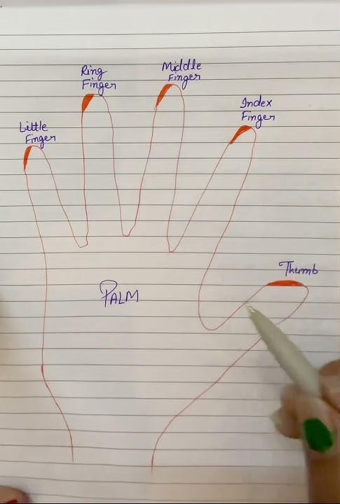 Hand view #education #english #vocabulary #gk #viralshort #partofbody #hand #describing #learning