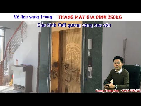 Video Thang Máy Gia Đình 350kg Lắp Đặt Tại KĐT Vinhomes... - youtube