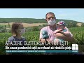 AFACERE GUSTOASĂ LA TRIFEŞTI: Familia Cuculescu a lansat o afacere în agricultură