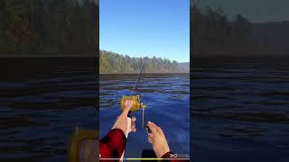 Таймень трофей| #hagen_stream с помощью #Twitch