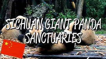 Sichuan Giant Panda Sanctuaries - UNESCO World Heritage Site