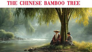 The Chinese Bamboo Tree - Patience In Business