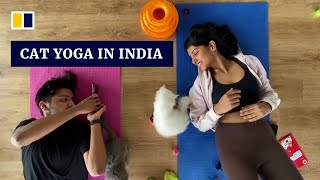 Paws and poses: New Delhi's yoga class brings joy and serenity