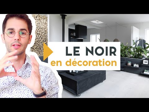 Vidéo: Bel appartement noir et blanc avec un thème en bois