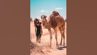 Dreaming of Arabia : Oriental Lounge music