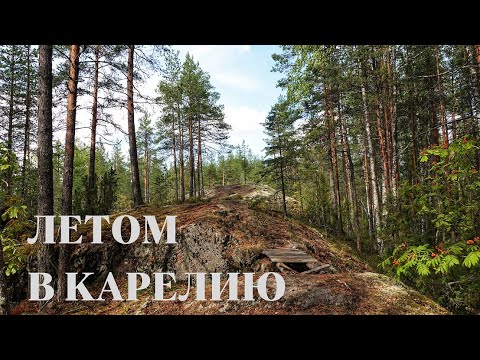 Video: Klima e Petrozavodsk: temperatura mesatare, reshjet