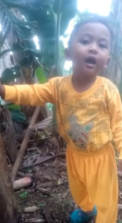 salam dari binjai persi boca