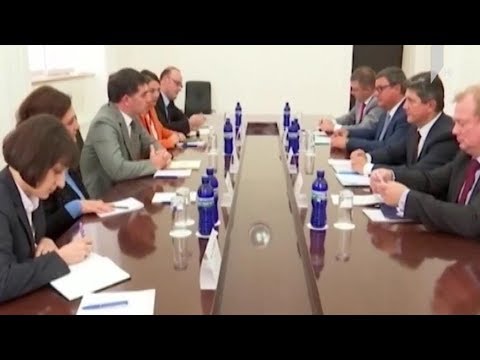 ევროსაბჭოს საპარლამენტო ასამბლეის თანამომხსენებლების დასკვნა