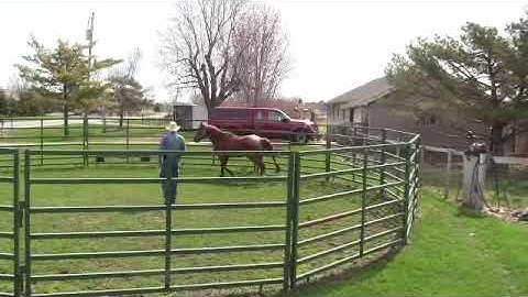 A spring tune up on Bo...With Smokie Brannaman pt1