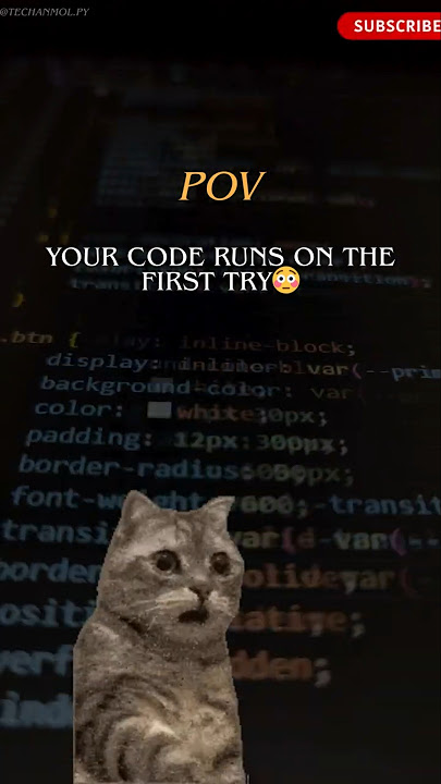 Main character energy when your code just works on the first try. No bugs, just vibes.#DevLife #code