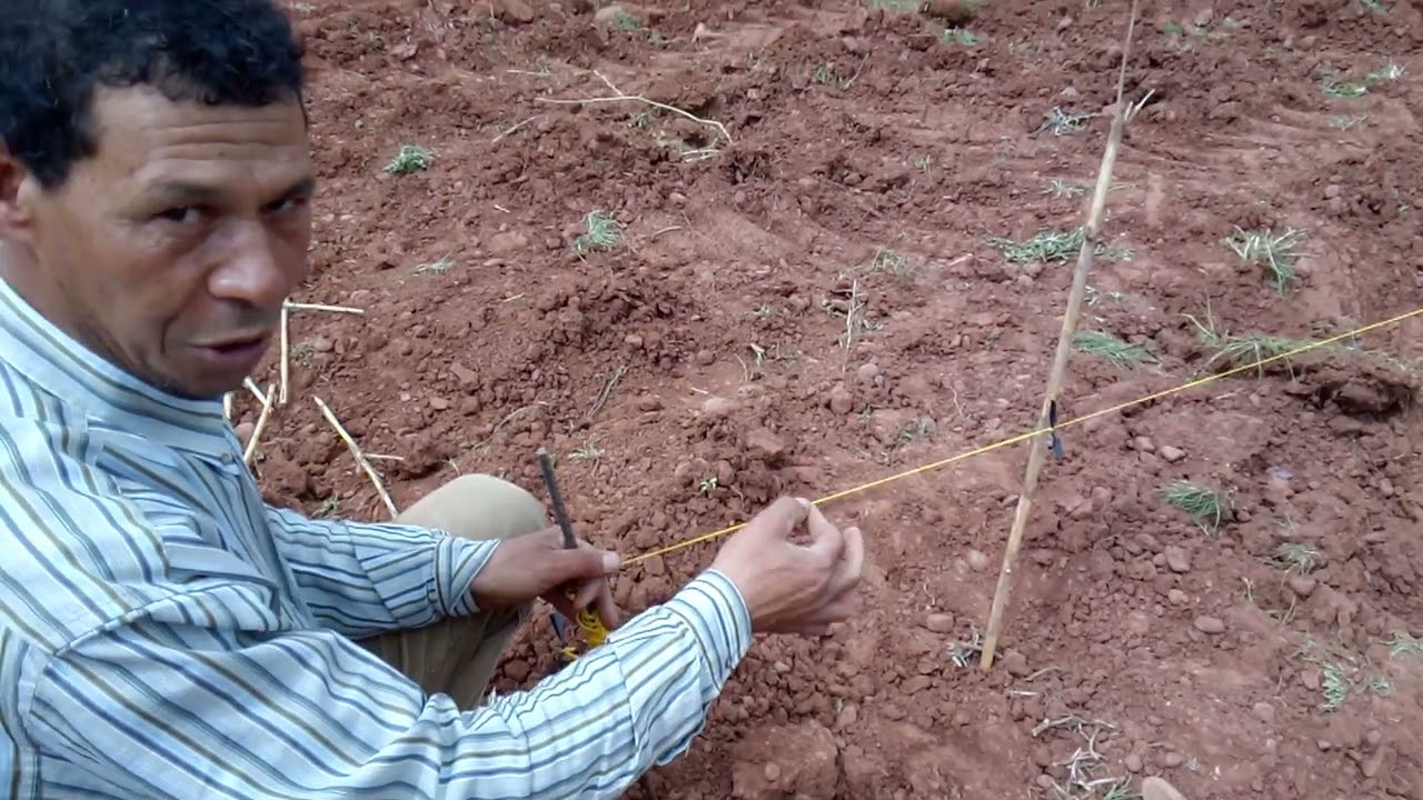 الطريقة الصحيحة لإنشاء بستان من الأشجار -  Traçage et Piquetage