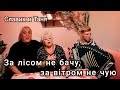 😻ПІСНЯ ЗЦІЛЮЄ | ЗА ЛІСОМ НЕ БАЧУ, ЗА ВІТРОМ НЕ ЧУЮ | НАРОДНА ПІСНЯ🎶