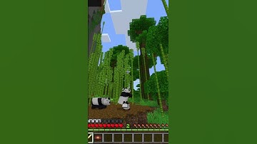 RELEASE, but recreated in minecraft