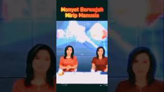 Download Lagu tiktokbeo :VIRALL MONYET BERWAJAH MIRIP MANUSIA MP3