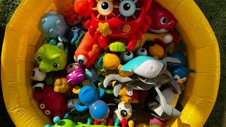 ocean animal toys toddlers names facts fun learning preschoolers