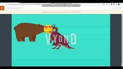 Character Elimination Intro