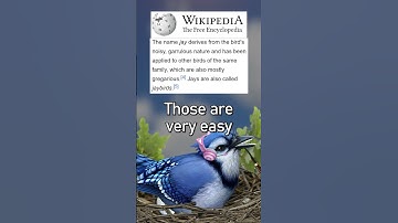 Wikipedia is NOT a bad source