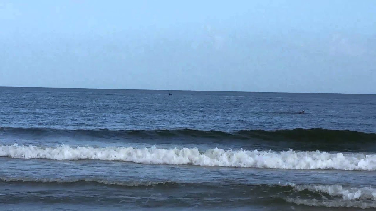 camera iphone 8 plus apk Brown Pelicans Hunting at Fort Morgan