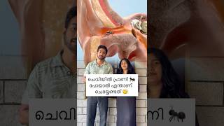 What To Do If An Insect Accidentally Enters Your Ear?