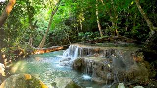 10 Hours Small Waterfall in the forest. Relaxing Nature Sounds, Waterfall. White Noise for Sleeping. screenshot 2