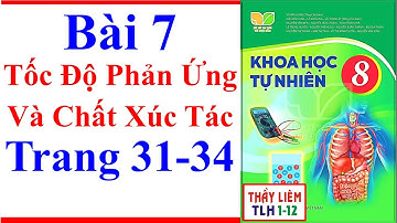 Khoa Học Tự Nhiên 8 Bài 7 | Tốc Độ Phản Ứng Và Chất Xúc Tác | Trang 31 – 34 | Kết Nối Tri Thức