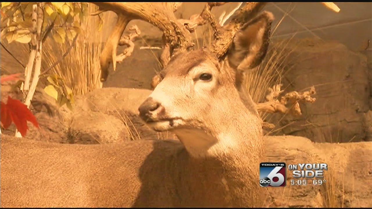 General deer hunting season kicks off YouTube