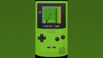 RAREST ITEMS THAT YOU COULD GET IN POKEMON